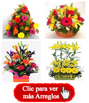 Arreglos de florres primaverales para enviar a Colombia