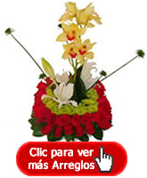FLORES BOGOTA
