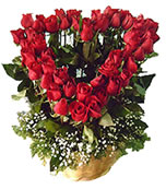 Flores Bogota