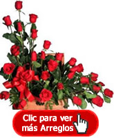ROSAS COLOMBIA