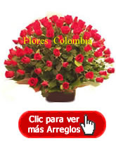 Floristeria Colombia