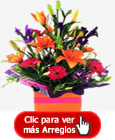 FLORISTERIA COLOMBIA