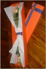 rosas colombia