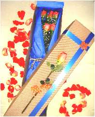 rosas colombia