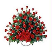 Rosas Colombia