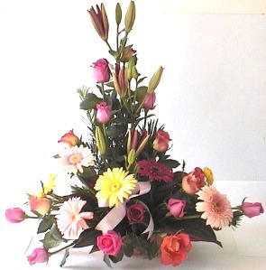 Rosas Colombia