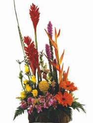 Floristeria Colombia