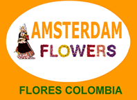 Flores Bogota Colombia