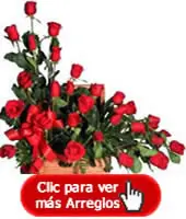 Flores en Bogotá