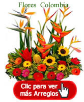 Girasoles, Cartuchos, anturios, gerberas y más flores a Bogota