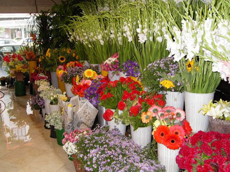 FLORISTERIA BOGOTA