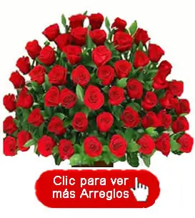 Flores en Bogotá y Colombia - Rosas