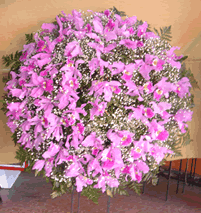 Floristerias Neiva