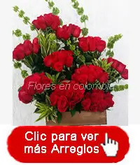 Flores a Bogotá y Colombia - Rosas