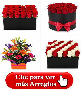 Cajas premium con rosas frescas