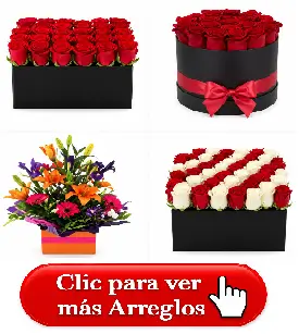 Cajas premium con rosas frescas