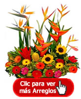 ARREGLOS FLORES COLOMBIA FLORISTERIA