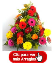 Enviar flores gerberas