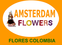Flores Colombia, Floristeria Colombia